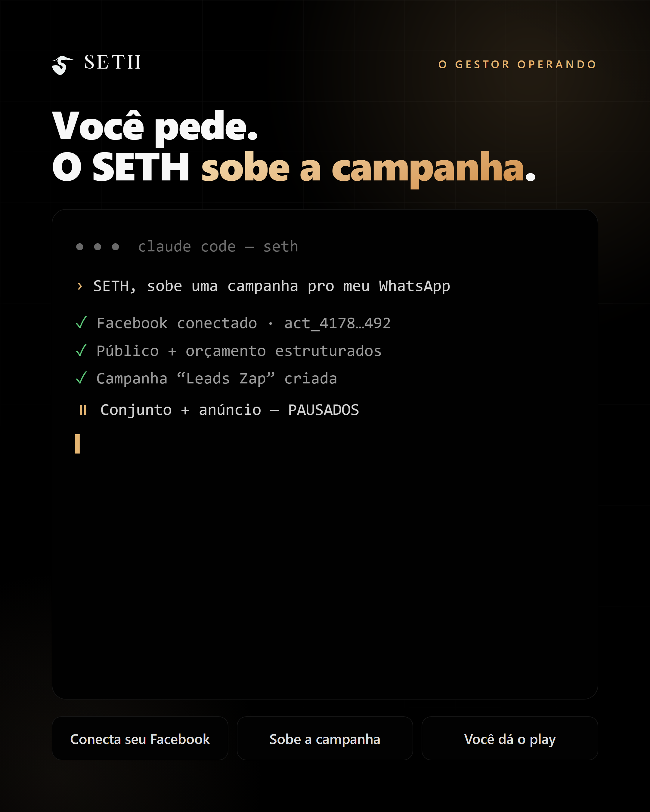 SETH conecta seu Facebook e sobe a campanha pausada, direto do Claude Code